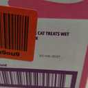 BONKERS Mixx, Wet Lickable Succulent Salmon Flavor Cat Treats, Real Meat, Training or Food Topper, for All Breeds and Ages, Value Pack (15 Pack, 60 Tubes), Best Buy 02/08/2027