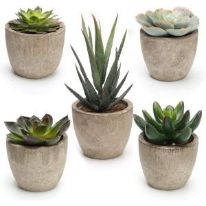 Coitak Artificial Succulent Plants Potted, Assorted Decorative Faux Succulent Potted Fake Cactus Cacti Plants with Pots, Set of 5
