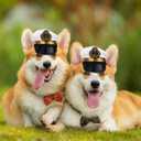 BESPORTBLE Small Dog Captain Hat for Dog: Sailor Hat Captain Costume - Marine Admiral for Puppies and Cats s for Adventures and Halloween Carnival Pet Festival