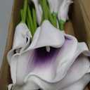 10 Heads Mini Calla Lily Bridal Wedding Bouquet Real Touch Flower Bouquets for Home Party Decoration (Purple& White)