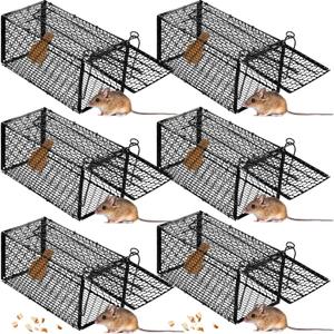 Qualirey 6 Pcs Humane Rat Trap Small Chipmunk Mouse Squirrel Cage Rodent Animal Mice Voles Hamsters Cage Catch and Release Trap for Home Garden Indoor Outdoor(10.6 x 5 x 5 Inch) (Black)