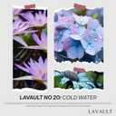 Lavault Reed Room Diffuser Set - Natural Aromatherapy Reed Sticks for Oil Diffuser - Perfect for Bathroom - Scent Diffusers for Home Environment - Air Freshener Diffuser - Grey - Cold Water Aroma