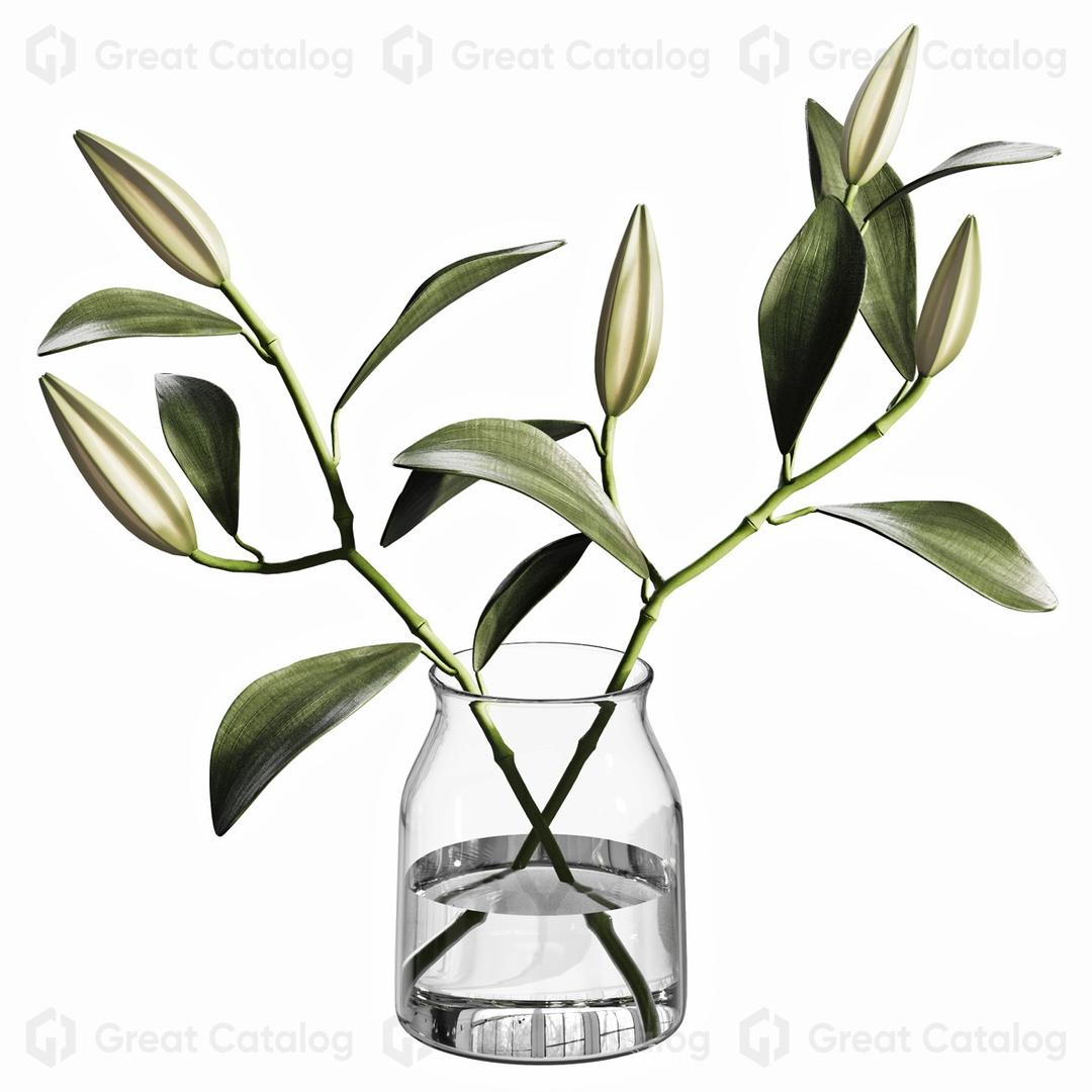 Vase Plant Decor