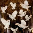 Preboun 20 Pcs Magical Wizard Party Decorations Magical Hanging Snow Owl Decorations Wizard Theme Birthday Paper Owl Ceiling Streamers Ornaments for Kids School Woodland Animal Classroom Birthday