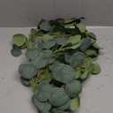 2 Pack Artificial Eucalyptus Garland Faux Silk Leaf Silver Dollar Eucalyptus Leaves Vines Handmade Garland Greenery Wedding Backdrop Indoor Outdoor Arch Wall Decoration