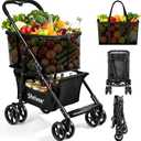 2 Tier Folding Shopping Cart with Removable Mesh Basket, Black