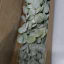 18pcs Eucalyptus Stems Artificial Eucalyptus Leaves Stems Artificial Fake Flowers for Home Office Flowers Bouquet Centerpiece Wedding Decoration Christmas Decor 2025