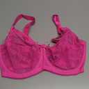 Plus Size Retro Lace & Mesh Unlined Underwire Bra 34DDD