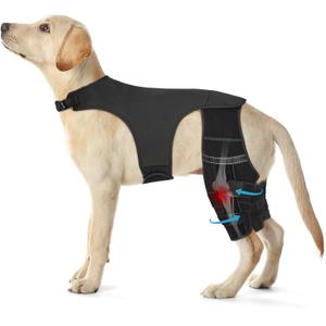 Dog Knee Brace for Torn ACL Hind Leg, Dog Leg Brace with 4 Metal Stabilizers Strong Joint Support to Reduce Pain from Luxating Patella, Arthritis, Ligament Injury, Hip Dysplasia,L
