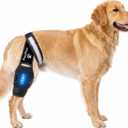 Dog Knee Brace Rear Leg Support with Freezable Gel Pack, Removable Stabilizer Rods, Reflective Straps, for ACL/CCL Injury, Arthritis & Post-Surgery Recovery (Medium)