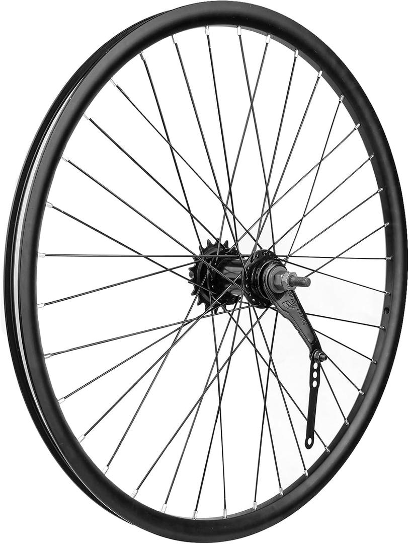 Coaster Brake Rear Wheel, 28 Hole High-Profile Double Wall Rim, Fits 20x1.75-2.35 Inch Tires, Backpedal Foot Brake Wheel for BMX Cruiser Kids Folding Bike Replacement (20)