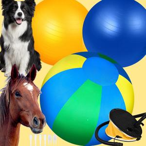 Herding Ball for Dogs: 25" Complete Set With 2 PVC Balls, 'Horseshoe' Pump, Tri-Colour Cover, Horse Toys, Collie Ball for Herding Dogs