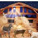 Zliisang 7X5FT Nativity Manger Scene Backdrop Straw Hay Cow Sheep Farmhouse Background Nativity of Jesus Hayloft Bethlehem Backdrop Old Wooden Barn Stable Christian Photo Props Party Decorations
