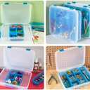STERILITE Divided Case, Multicolor