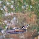 Hanging Bird Feeder Tray Platform Metal Mesh Seed Tray for Bird Feeding Outdoor Garden Decoration for Backyard Attracting Wildbirds