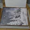 ArtbyHannah Framed Christmas Canvas Wall Art Decor Set of 2, Xmas Pictures Prints Paintings for Living Room Bedroom, Winter Holiday Home Indoor Decorations with Red House and Tree (12x16 Inch)