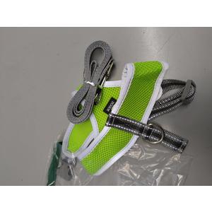 Puppy Harness and Leash Set - Dog Vest Harness for Small Dogs Medium Dogs- Adjustable Reflective Step in Harness for Dogs - Soft Mesh Comfort Fit No Pull No Choke (S, Light Green)