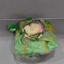 Fairy Costume for Birthday Party Halloween Costume Girls Princess Dress and Accessories Cosplay Dress (10-11 years)