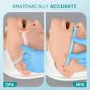 Airway Management Trainer, Intubation Manikin, Adult