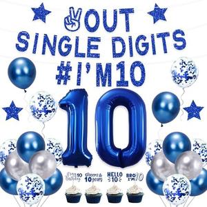 Holkcog Blue 10th Birthday Decorations Boys, Out Single Digits I'm 10 Banner, Happy 10th Birthday Decorations for Boys, Double Digits Party Supplies 10 party supply