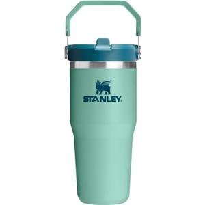 STANLEY IceFlow 2.0 Flip Straw Tumbler with Handle 14 oz | Twist On Lid and Flip Up Straw | Leakproof Water Bottle | Insulated Stainless Steel | BPA-Free | Spring Green