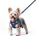 rabbitgoo Dog Harness Small Sized and Leash Set, Step in Soft Light Puppy Vest, Breathable Mesh Pet Harness, Reflective for Safe Outdoor Walking, Navy Blue XS