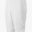 Mizuno Youth Premier Short Baseball Pant