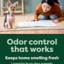 Earth Rated Max Absorbency Puppy Pee Pads for Dogs Absorbs 2X Faster & 2X More, Leak-Proof, Odor Control Potty Training, Unscented, Large, 22 x 23, 40 Count