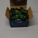 Vine with Fairy Lights, 2 Pack 40LEDs Vine Lights Green Ivy Vines String Lights Battery Operated, Artifical Garland Leaf with Fairy Light for Bedroom Dorm Wall Decor