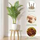 3-Pack Wood Plant Stands Indoor, Single Plant Stand for 6-12 Inch Pots, Mid-Century Modern Plant Stool, Tall Plant Stand for Large Plants for Living Room, Balcony, Office (Light Brown)