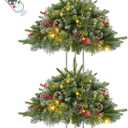 2 Pack 24 Inch Lighted Outdoor Christmas Tree with Dual Color LED Lights, Remote Control Battery Operated Pre-lit Pathway Urn Filler, Christmas Porch Decorations for Home, Porch & Yard (Snow White)
