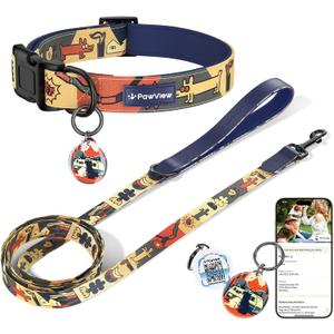 Dog Collar and Leash Set, QR Tag Adjustable Pet Collar, 5 FT Heavy Duty Dog Leash, Padded Handle, Quick Release Buckle, Metal Ring, 360 Swivel Clip for Small Dogs Walking Running (Dark Blue, S)