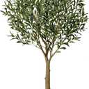 VeriNatural Artificial Olive Tree 5FT - Faux Olive Trees Indoor with 1283 Silk Leaves & 58 Fruits,UV Resistant & Natural Wood Trunk Fake Plant for Outdoor,Living Room,Patio,Home Decor,VN157