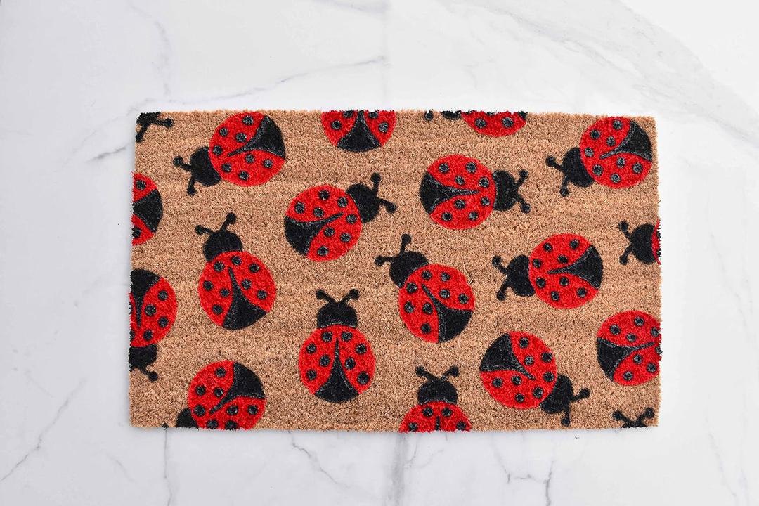 Ladybug Doormat, Cute Welcome Mat, Spring Decor, 16x24 Inch, Red