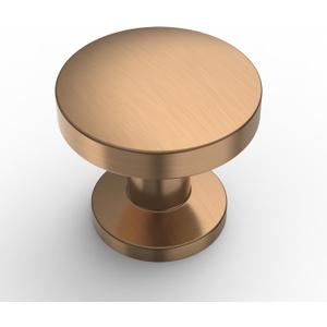 Amerdeco 10 Pack Champagne Bronze Cabinet Knobs Single Hole Cabinet Pulls Round Kitchen Cabinet Knobs Drawer Knobs Dresser Knobs and Pulls for Bathroom Cabinets ZH0051