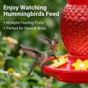 Fchstaer Glass Hummingbird Feeders for Outdoors Hanging 16oz 2 Pack Red Pineapple Bee & Ant Proof 360Perch Leakproof Easy Clean with 6 Feeding Ports Gifts for Mom