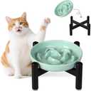Elevated Slow Feeder Cat Bowl - Ceramic Cat Food Dish with Anti-Slip Stainless Steel Stand - Raised Maze Plate for Slow Eating - Mint Green