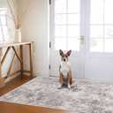 3x5 Washable Area Rug for Entryway: Small Abstract Neutral Rugs GrayCream
Premium Non Slip Backing Machine Washable Soft Low Pile Design Easy Clean for Kitchen Bathroom Bedroom and Pet Feeding Area