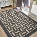 DEXI Front Door Mat 32x48, Washable Entrance Doormat with Non Slip Backing, Low-Profile Welcome Entry Mats fpr Inside House Entryway Floor, Dark Grey