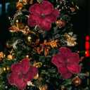 M2cbridge Christmas Velvet Flower Magnolia Flowers Artificial Poinsettia Stems Wedding Party Decor,4PCS (Burgundy)