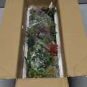 MyGift Artificial Succulent Centerpiece,15.75 Inch Faux Succulents Arrangement Plants in Sleek Black Wooden Rectangular Planter Box