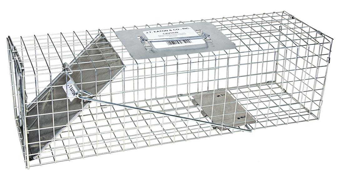 JT Eaton 465 Answer Galvanized Steel Wire Single Door Professional Live Animal Cage Trap, 24" Length x 7" Width x 7" Depth