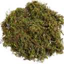 VOSAREA 1 Pack Artificial Moss Fake Lichen Simulation Green Faux Pot Moss for DIY Miniature House (About 60g)