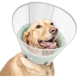 Dog Cone Collar with Snap-on Detachable Soft Liner, Lightweight Transparent Elizabethan Alternative to Stop Licking, for Spay Neuter Surgery Recovery, for Medium Large (Green,L)