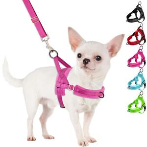 SlowTon No Pull Small Dog Harness and Leash Set, Puppy Soft Vest Harness Neck & Chest Adjustable, Reflective Lightweight Harness & Anti-Twist Pet Lead Combo for Small Medium Dogs (Fuchsia, S) (A-Fuchsia - With Front Clip)