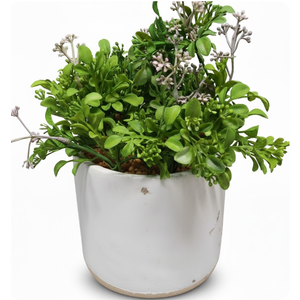 Spring Lifestyle Greenery Pot