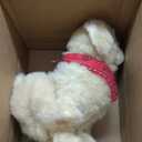 JOY FOR ALL Ageless Innovation Companion Pet for Seniors - Lifelike Animatronic Dog - Realistic Soft-Touch Coat & Heartbeat - Therapy Stuffed Animal - Toy for Alzheimer's & Dementia - Golden Pup (Brown)