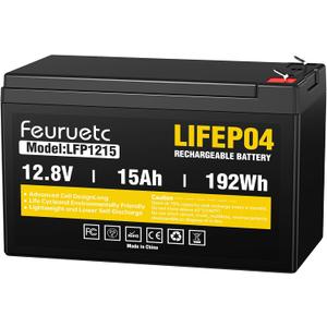 12V 15Ah Deep Cycle LiFePO4 Battery, 3000+ Cycles, Maintenance-Free Battery for Fish Finder, Scooter, Security System, Solar System, UPS etc Rechargeable Lithium Iron Phosphate