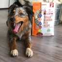 Tender & True Antibiotic-Free Turkey & Brown Rice Recipe Dog Food, 51012