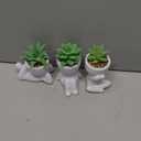 Der Rose 3pcs Fake Succulents Plants Artificial for Bathroom Bedroom Home Room Decor Aesthetic Indoor